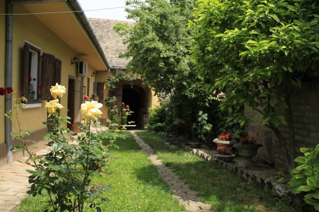 Apartman Brankova Kuca سرمسكي كارلوفيتش المظهر الخارجي الصورة